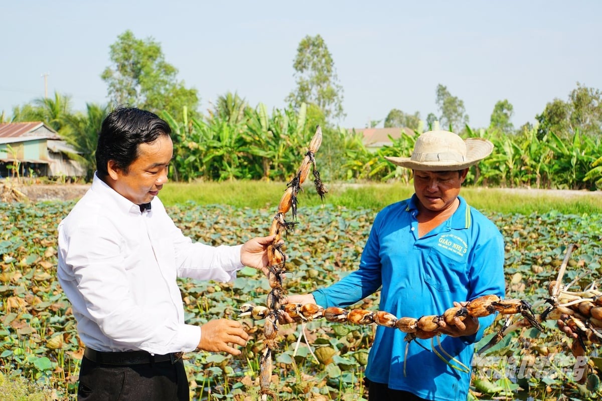 Đồng Tháp tiên phong tái cơ cấu nông nghiệp - Nâng cao thu nhập, hướng đến phát triển bền vững